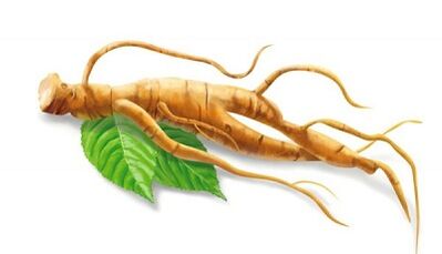 Ginseng to increase potential after 50 years