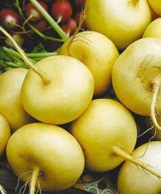 Radish